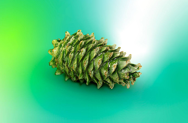 چک‌لیست امنیت سایبری شخصی شما در ۲۰۲۶